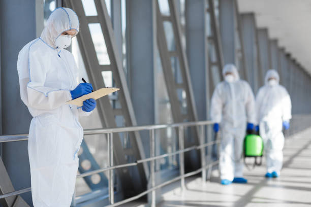 Best Attic Mold Removal  in Hunter, OH