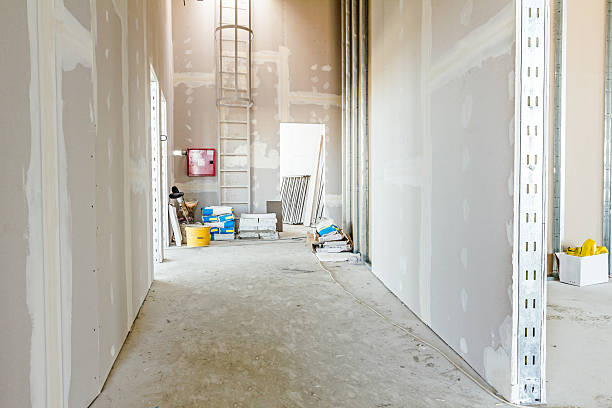 Best Post-Construction Mold Inspection  in Hunter, OH